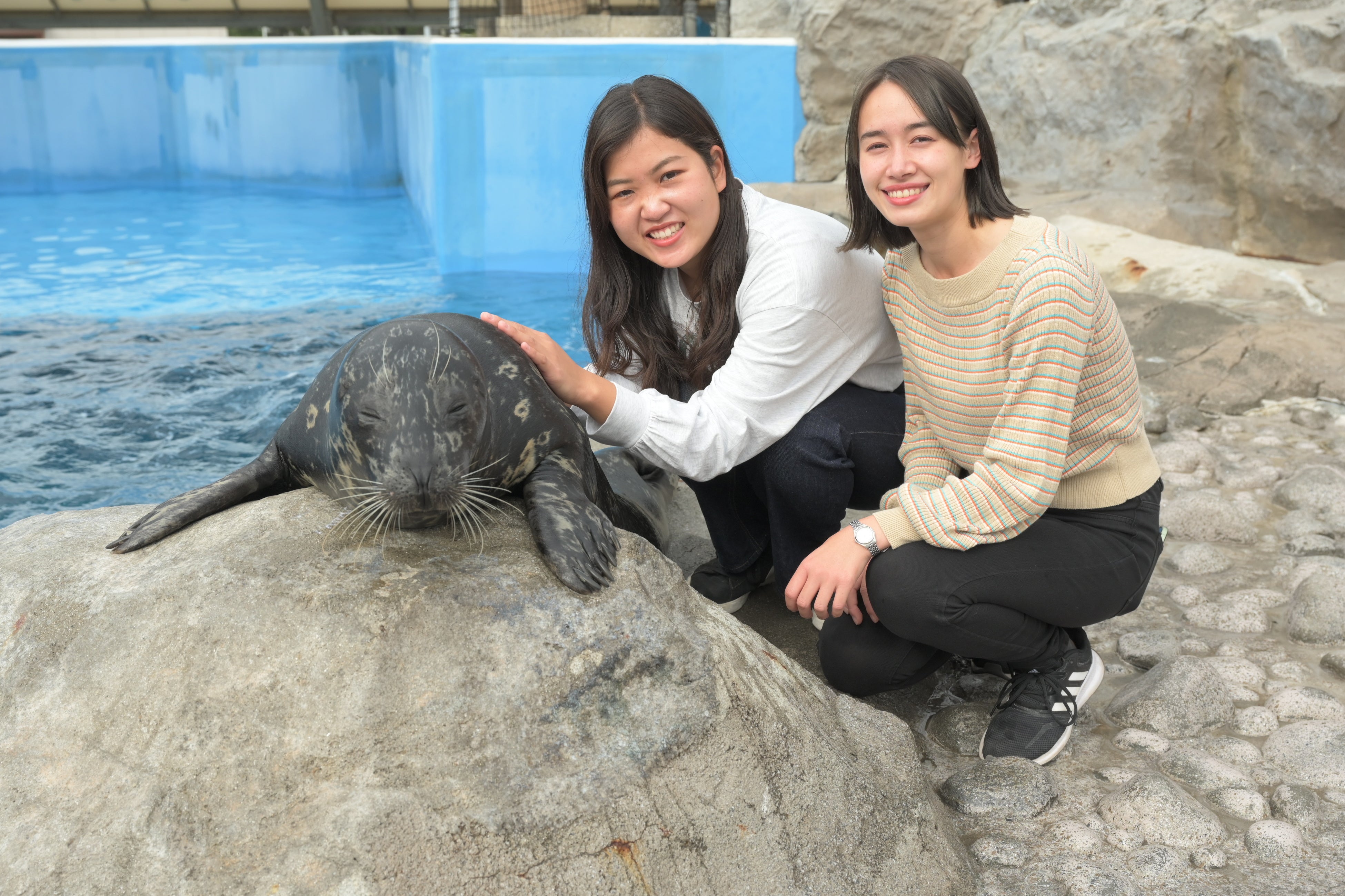 【横浜・八景島シーパラダイス】生きものたちが“涼”をお届けするシーパラならではの夏イベント開催中！WATER&...