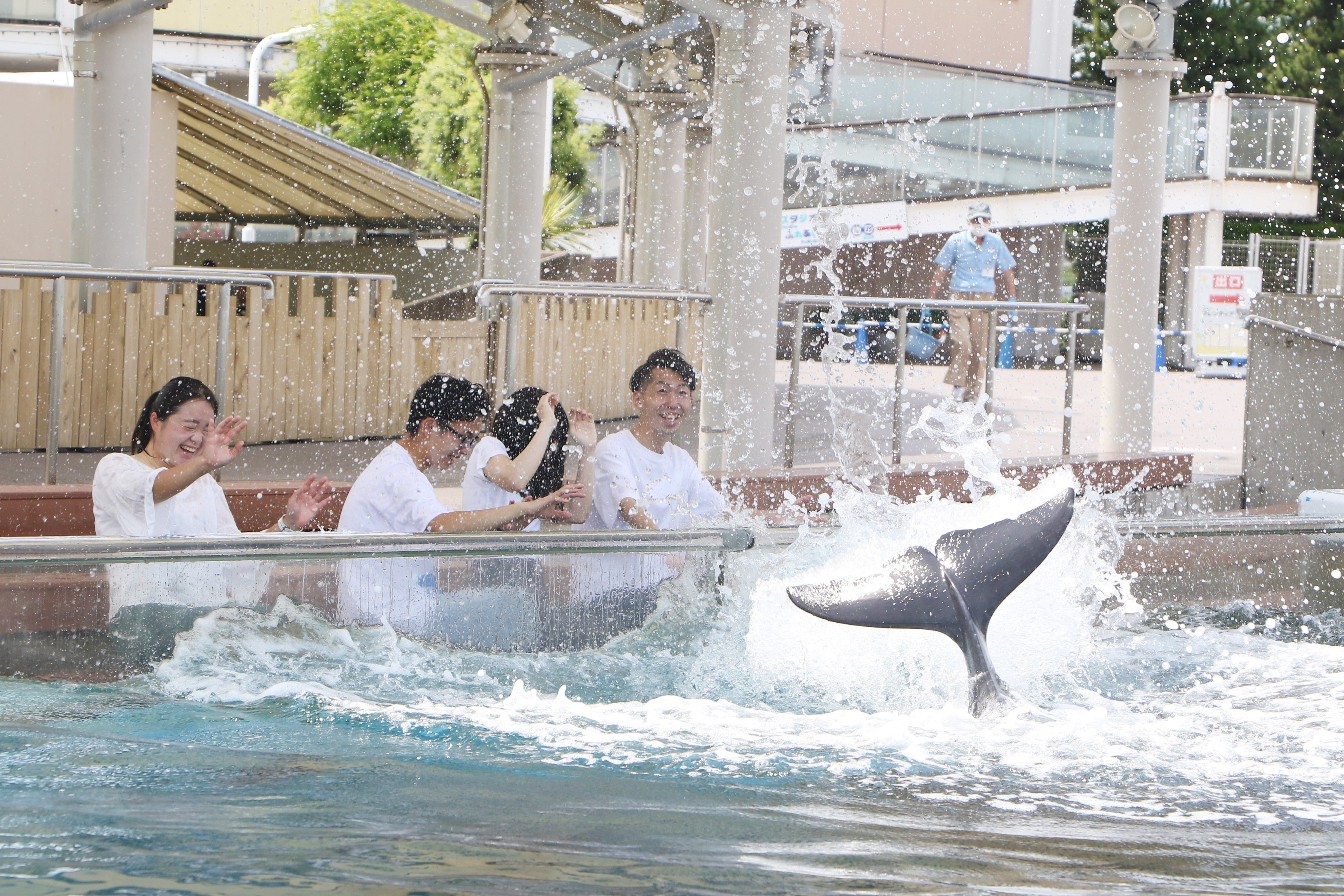 【横浜・八景島シーパラダイス】生きものたちが“涼”をお届けするシーパラならではの夏イベント開催中！WATER&...