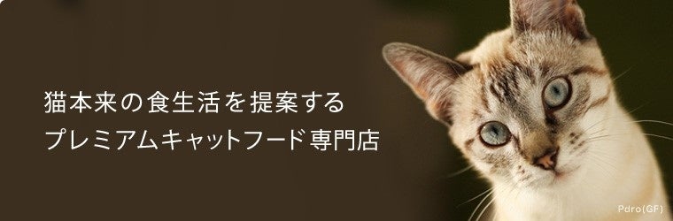 《tama》「夏の福箱2024」を販売開始