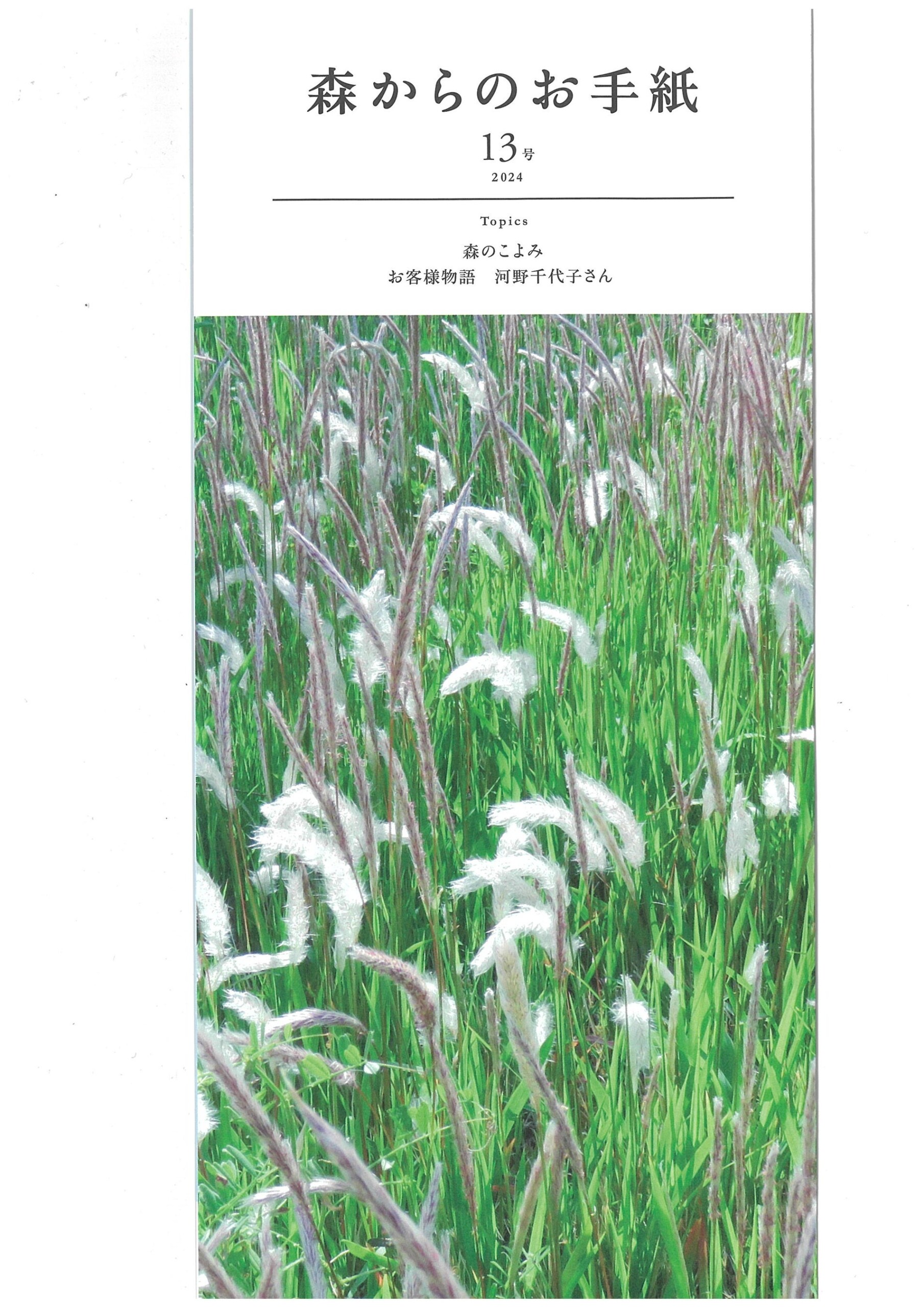 自然を守り再生する”森の墓苑”で「虫聴き会2024」9月1日開催と、森からのお手紙No.13発行のお知らせ