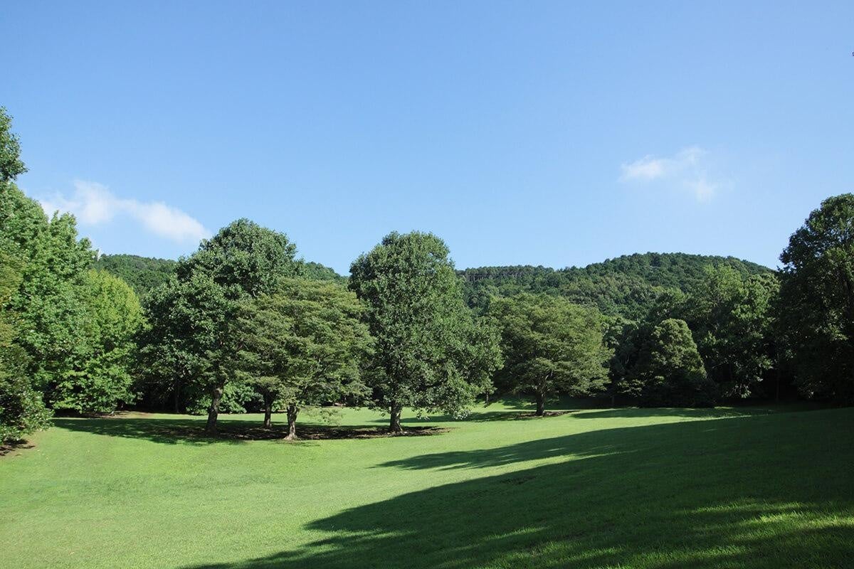 泊まれる公園「INN THE PARK沼津」宿泊者向けミニワークショップを毎日開催中！予約不要、手ぶら参加でOK！自...