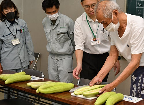 徳川家康も賞賛した高槻の「服部越瓜（しろうり）」が最盛期