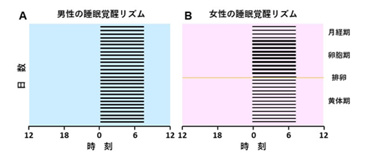 月経ステージによって睡眠リズムが変化することが明らかに　　　　～スマートウォッチで妊活が可能に！～