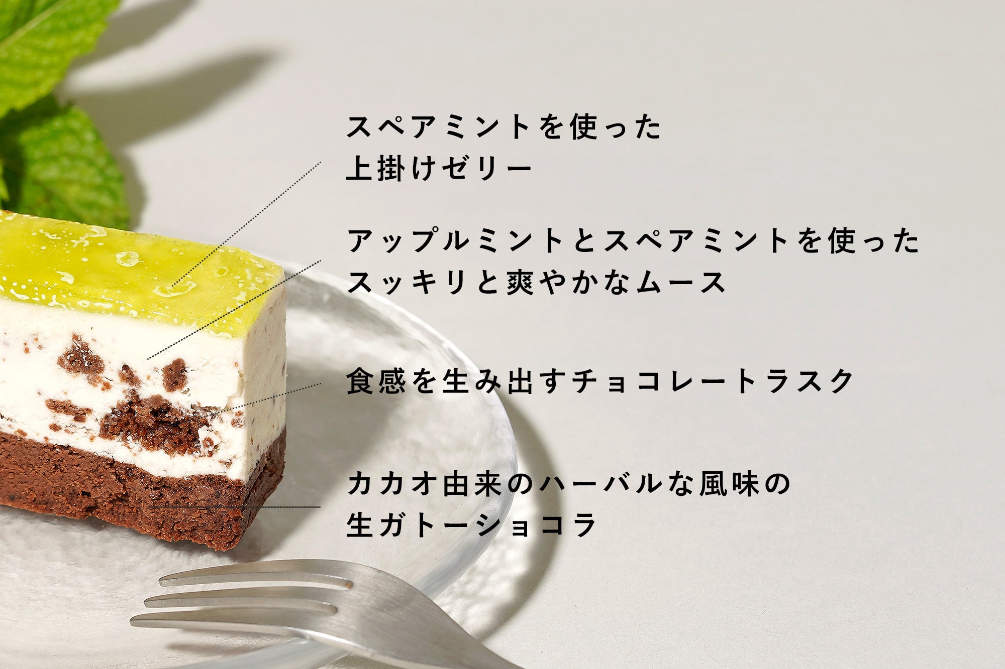 Minimalより「本格チョコミント」ガトーショコラ登場。香料・着色料は不使用で、新鮮なフレッシュミントにオ...