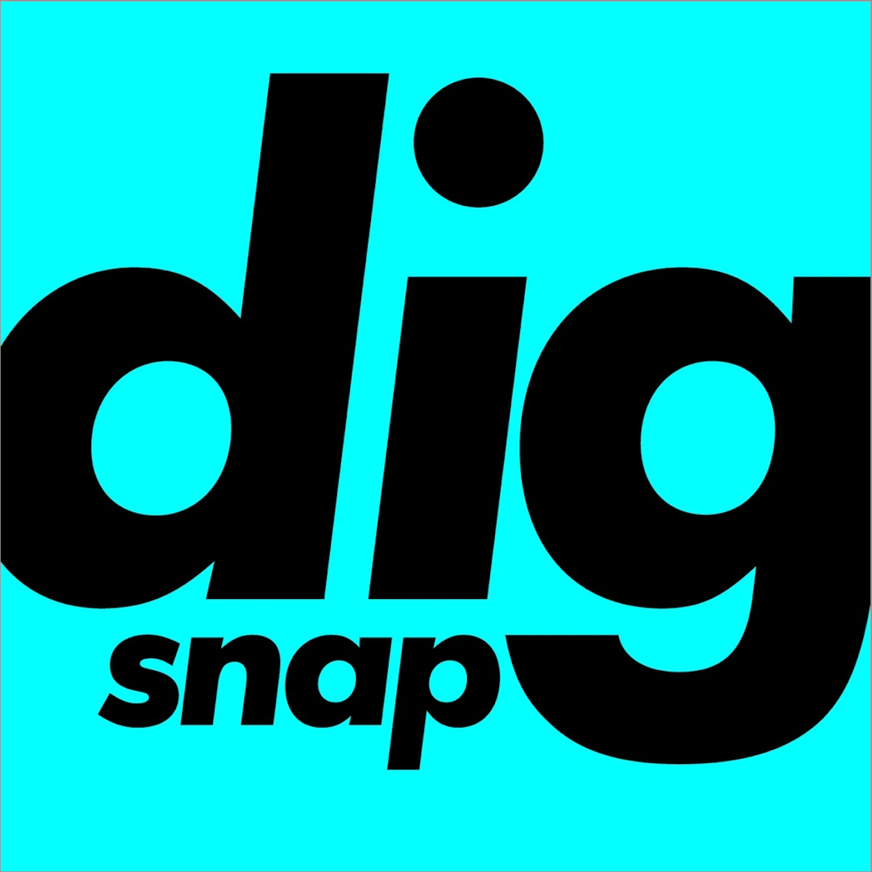 ファッションフリマサービス「digdig（ディグディグ）」運営のSNSファッションメディア、総フォロワー数90万...