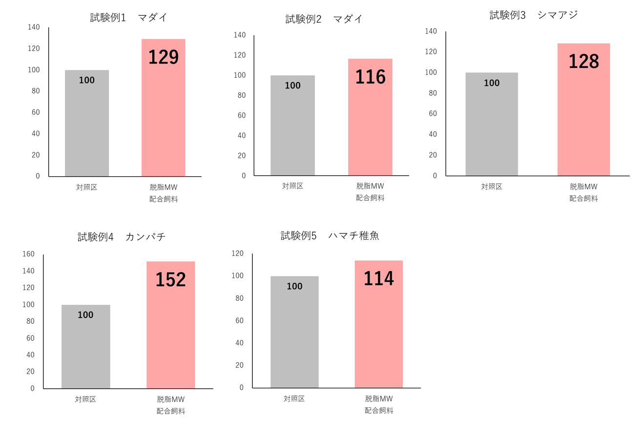 【フィード・ワン】昆虫タンパクで養殖魚の体表粘液の増加を確認し特許出願！養殖魚の生体バリア機能向上に期待