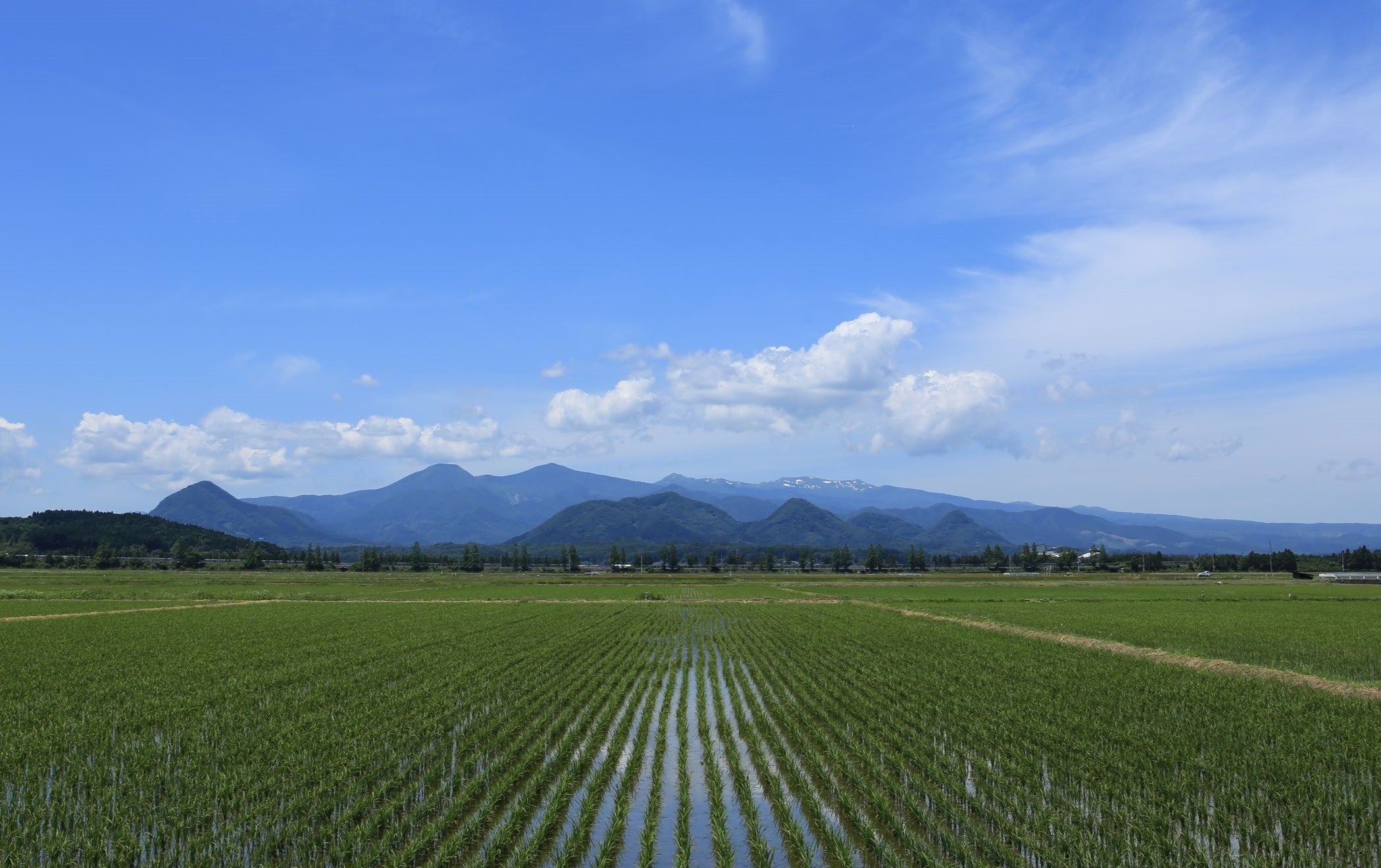 メディアで話題！ 最優秀賞を受賞した「葛バー」が宮城県大和町のふるさと納税に新登場！