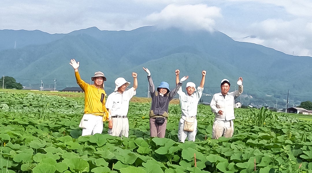 【8/5 新潟県 新潟市】有機農業・自然農法技術交流会（水稲）を開催（公益財団法人 自然農法センター主催）