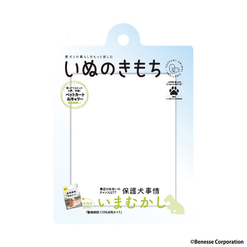 ➁保護犬事情いまむかし