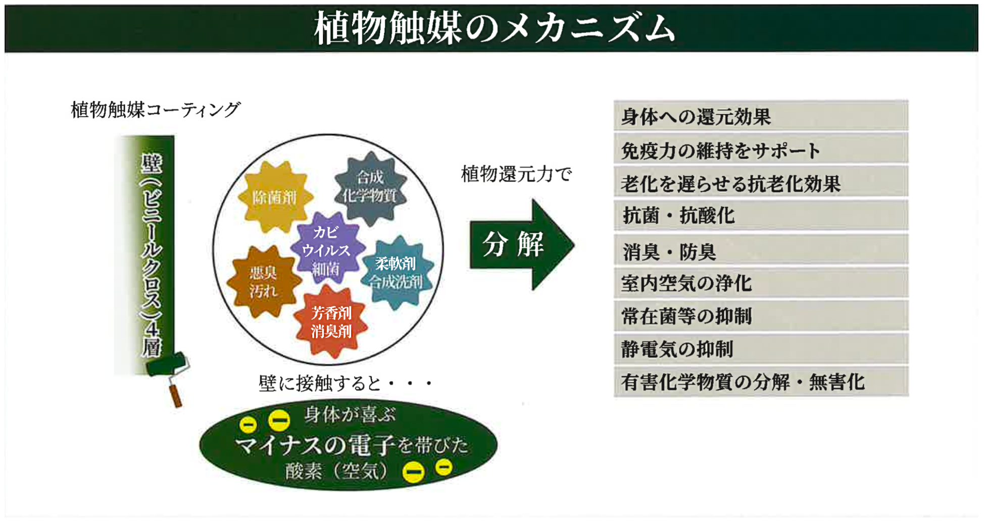 【植物触媒®︎】光触媒塗料との融合に成功！化学と植物が創り出す付加価値は唯一無二の塗料