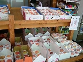 これからが旬の桃。「草間もも直売まつり2024」が開催されます。～岡山県新見市は、県内唯一の「二桃流」の産...