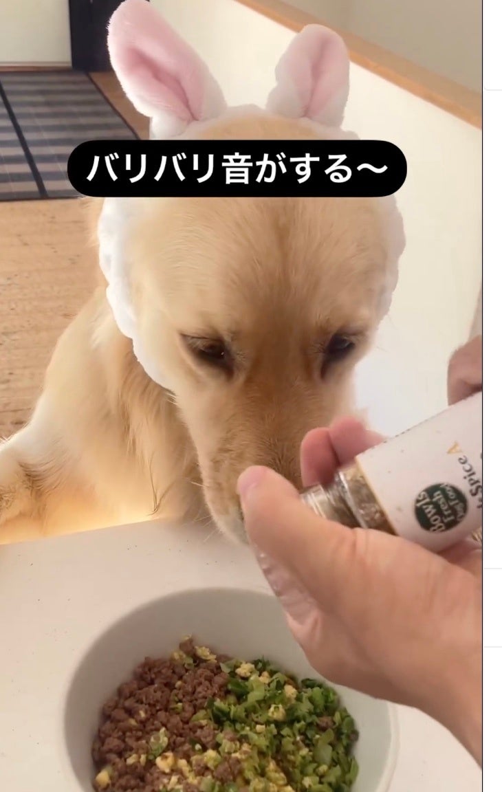 「すぐ飽きる…」「すぐ食べなくなる…」を解決！ドックフードに振りかけるだけで、犬の食欲がアップ！犬の嗅覚...