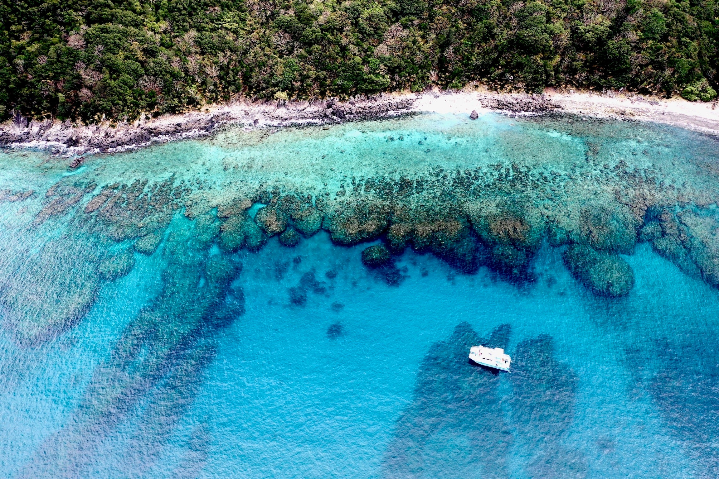 世界自然遺産・奄美大島の豊かな海で“海のテロワール”を創るサステナブルな海底熟成ワインセラー「tlass SEA ...