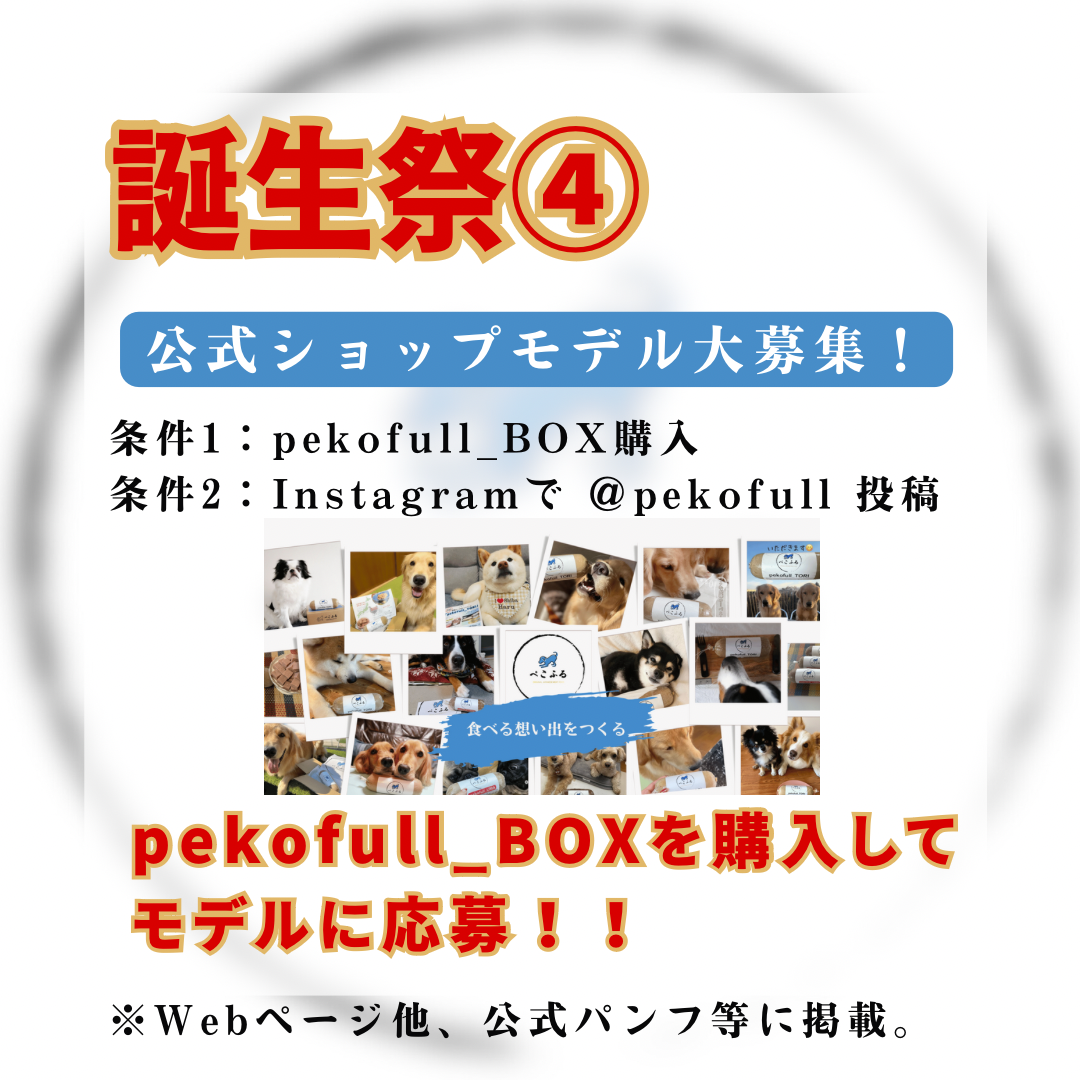 【創業1周年】東北発ペットフード「ぺこふる」、創業1周年を記念した誕生祭を開催。岩手県産鹿肉を使用した新...