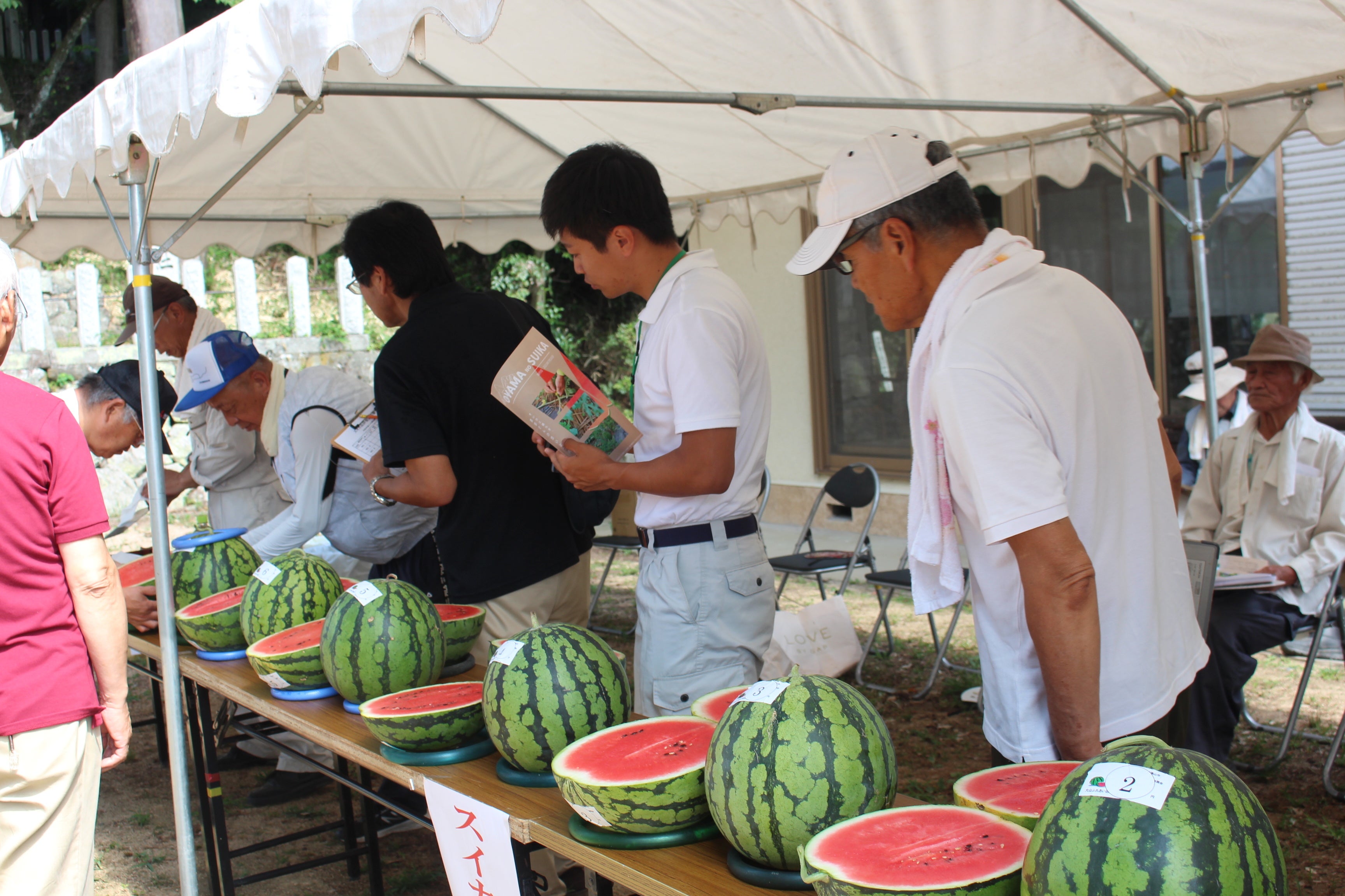 丹波篠山市大山地区「大山スイカ」の季節がやってきました