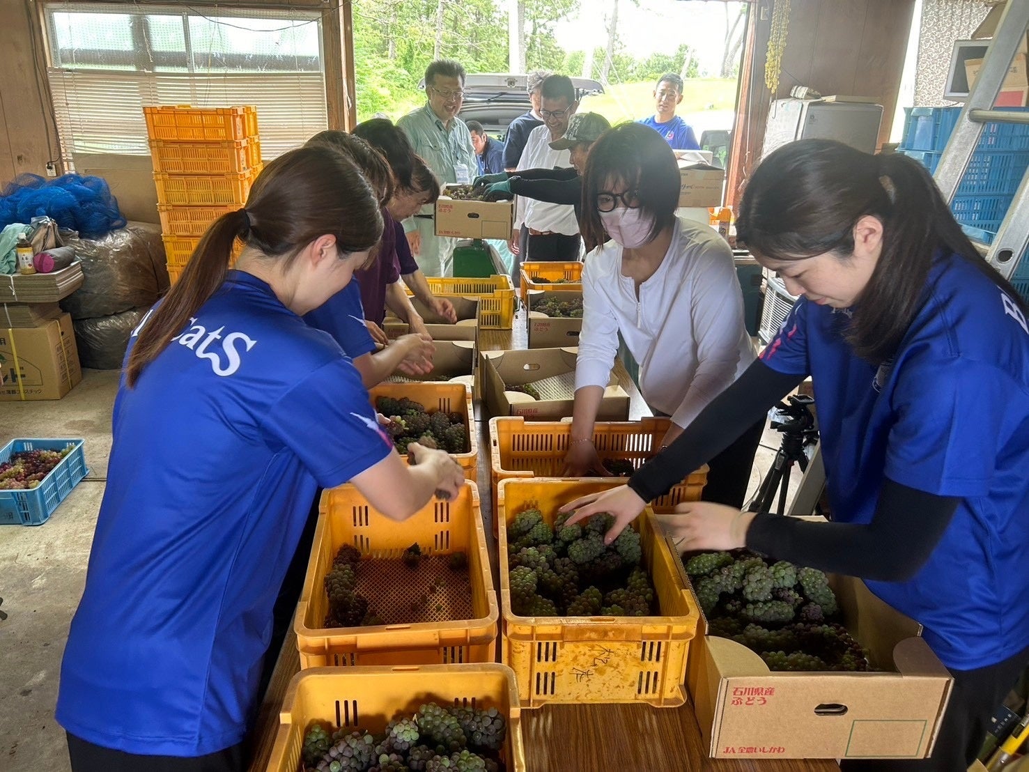 【PFUブルーキャッツ石川かほく】地域に愛される地域密着のプロバレーボールチームを目指して、地域の特産品...