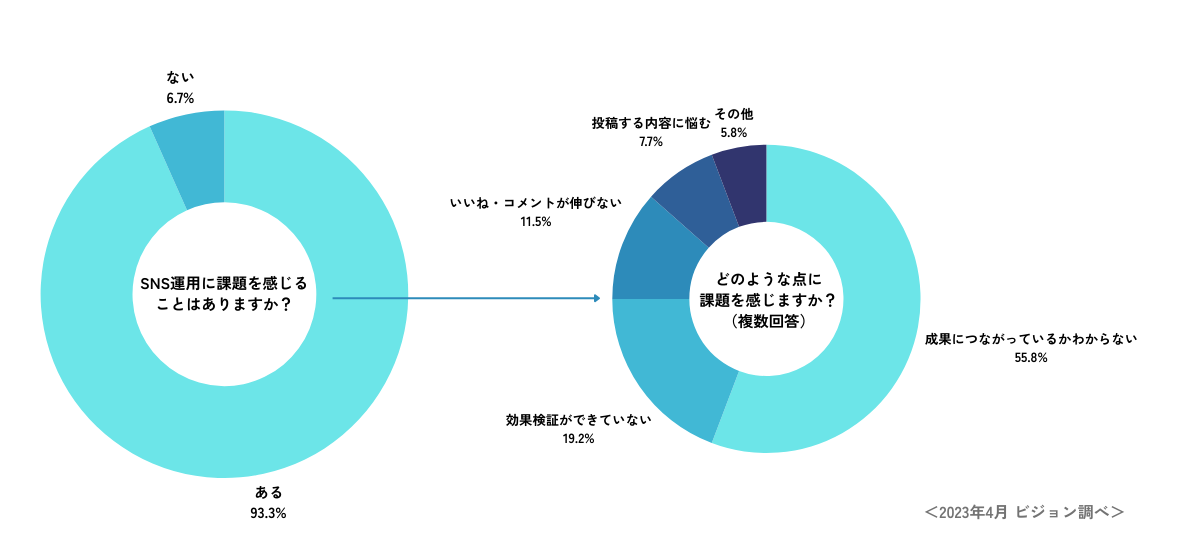 株式会社ビジョン、集客を目的にSNSマーケティングのさまざまな課題をサポートする「SNS運用ドットコム」をオ...