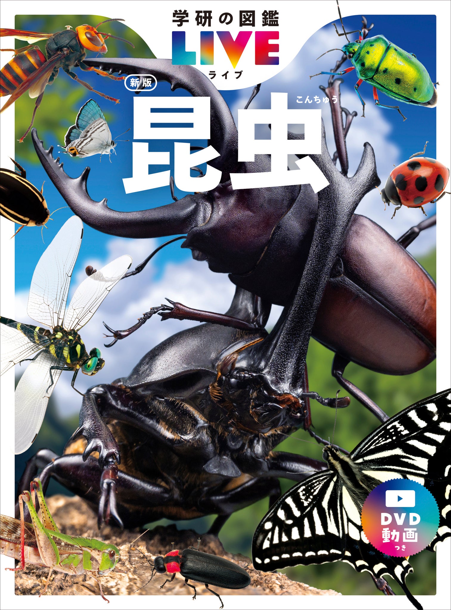 【Yahoo!きっず】「学研の図鑑LIVE」とコラボし“昆虫の王様”カブトムシについて詳しく学べるWeb図鑑を公開