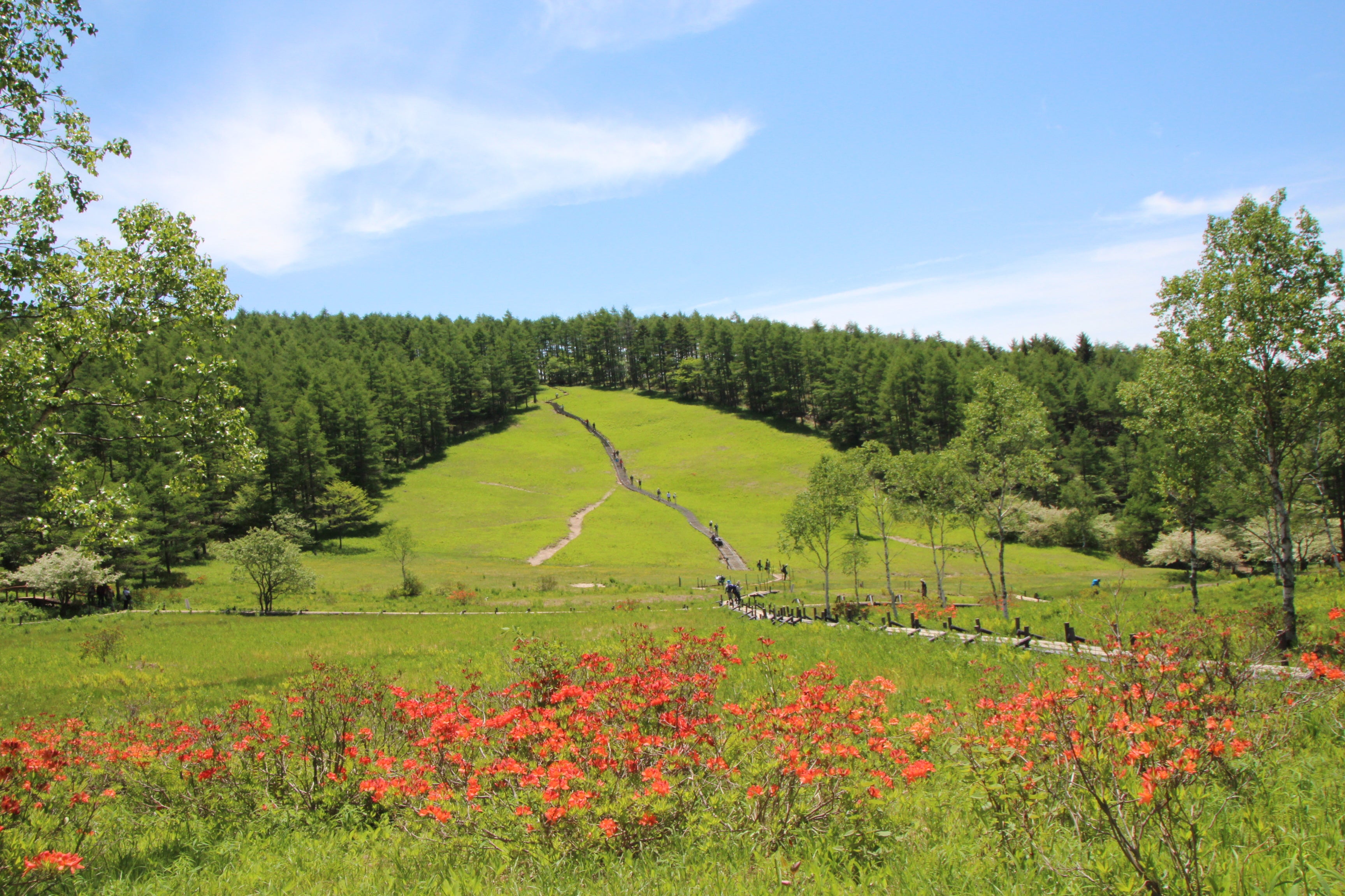 入笠山開山祭　記念バッジのデザインを募集します！