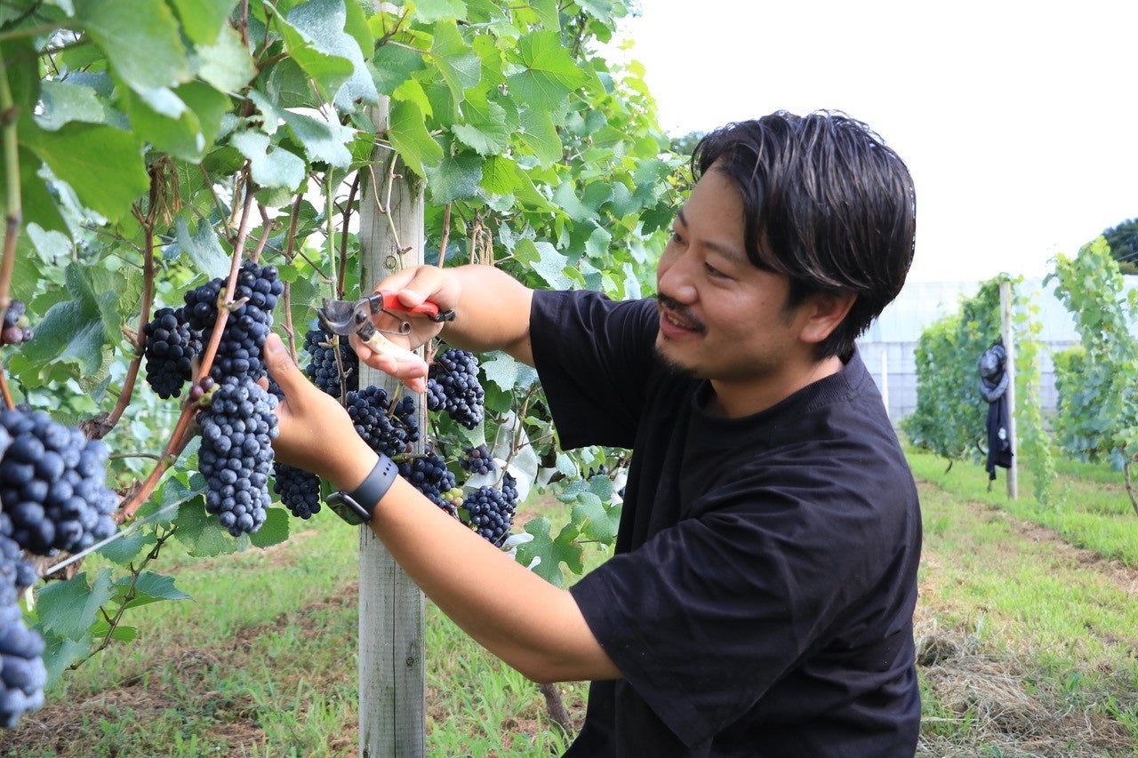 川崎市内産ワインを楽しめる交流会を開催します！