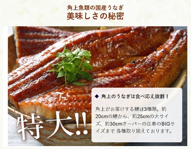 角上魚類◆魚屋がこだわる「うなぎ」はコレだ！～7/24土用丑の日　全店にて販売　ネットショップで宅配も～