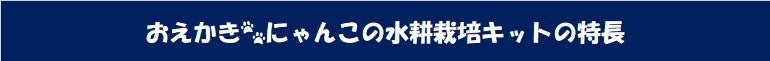 【新商品】おえかき🐾にゃんこの水耕栽培キット♪立体ぬり絵でオリジナルにゃんこ。そして楽しくお手軽に水耕栽...