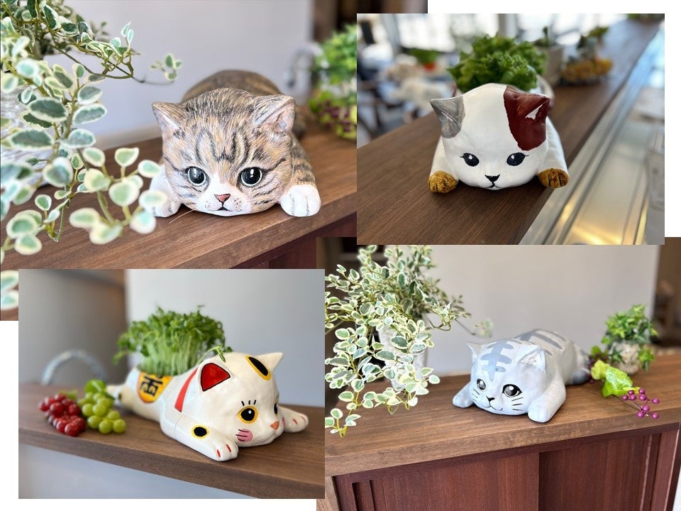 【新商品】おえかき🐾にゃんこの水耕栽培キット♪立体ぬり絵でオリジナルにゃんこ。そして楽しくお手軽に水耕栽...