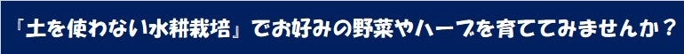 【新商品】おえかき🐾にゃんこの水耕栽培キット♪立体ぬり絵でオリジナルにゃんこ。そして楽しくお手軽に水耕栽...