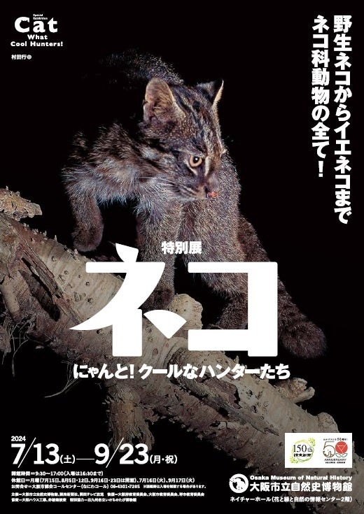 【コラボ情報更新・7月13日いよいよ開幕！】特別展「ネコ」 ～にゃんと！クールなハンターたち～