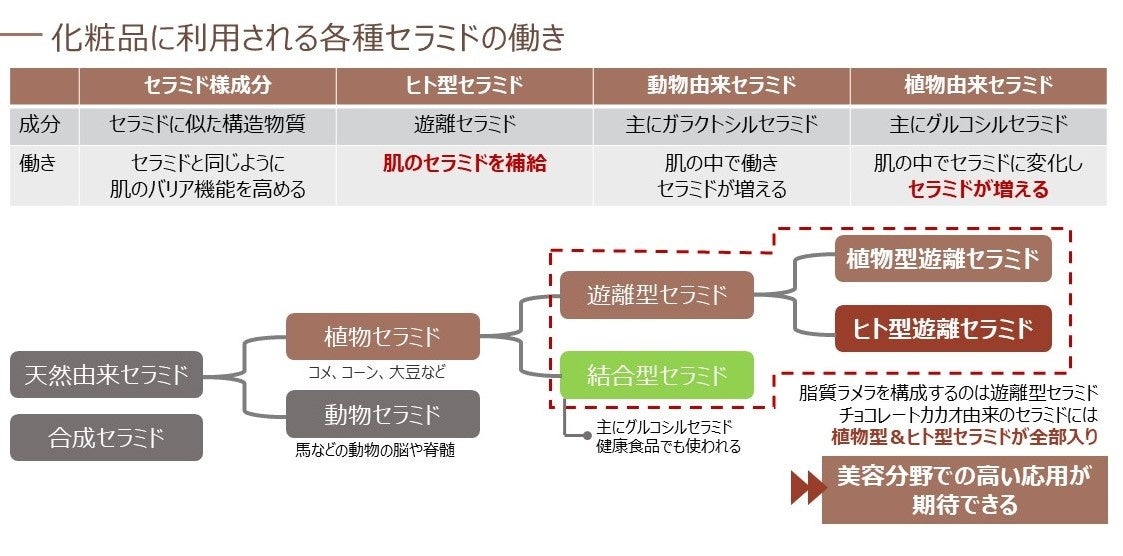 meijiとZeroGravity カカオのアップサイクル美容素材を共同開発