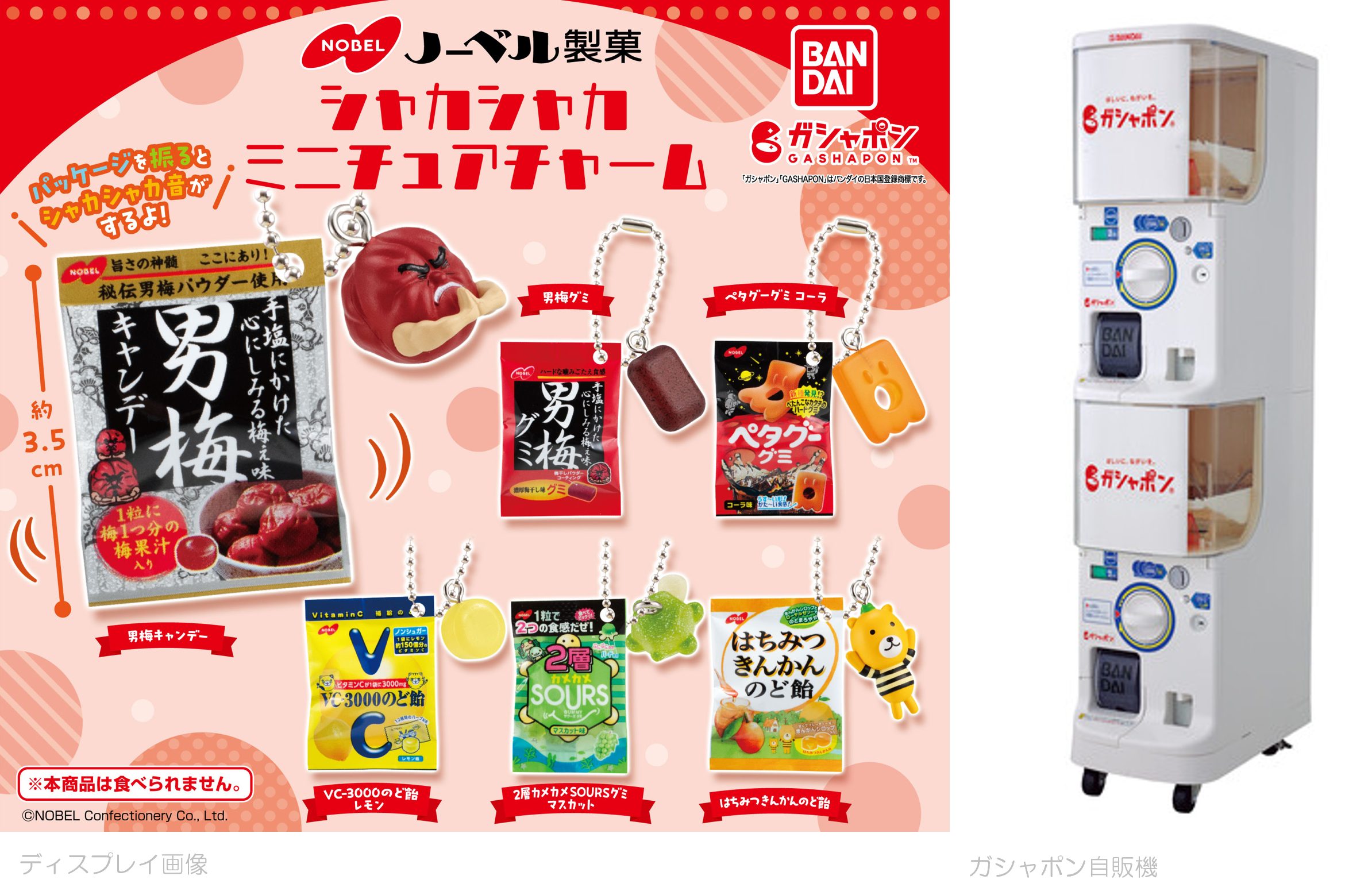 ⼤好評「ノーベル製菓」と「ガシャポン®」コラボ第⼆弾！振るとシャカシャカ⾳が鳴る「ノーベル製菓 シャカシ...