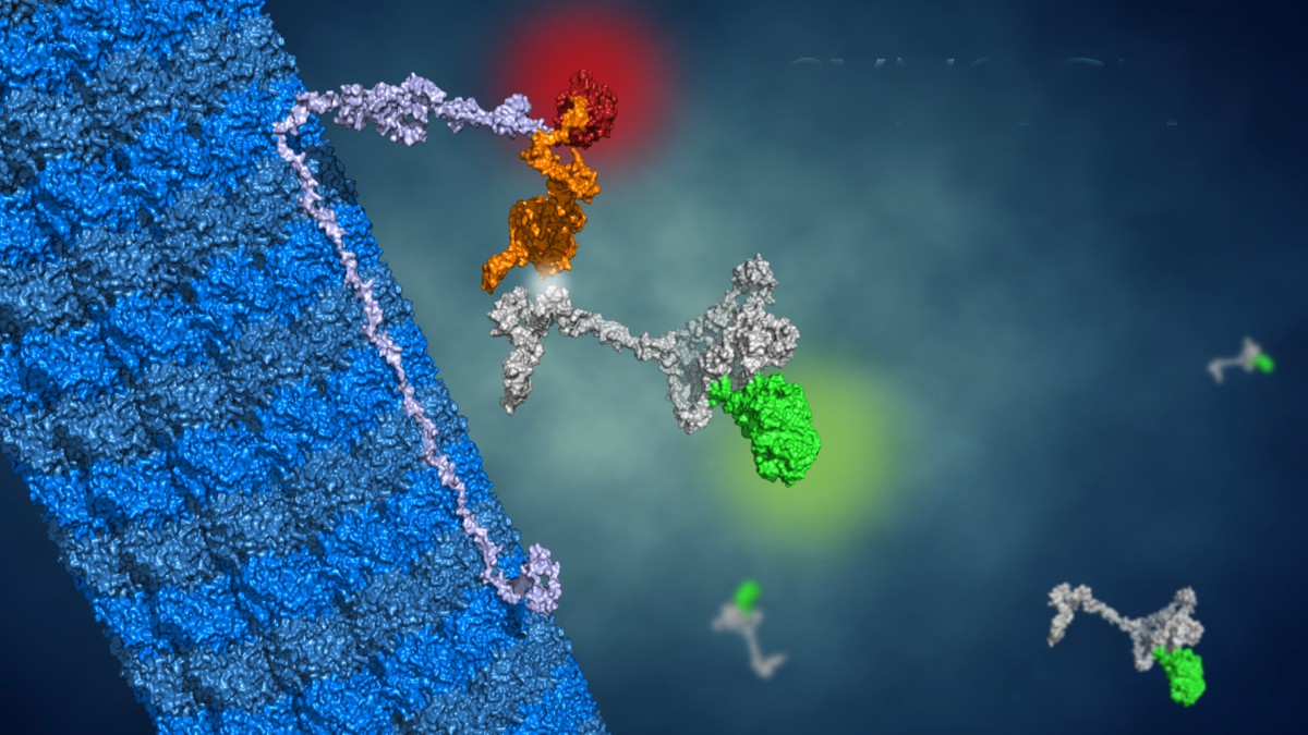 Iktos社、タンパク質-タンパク質間およびRNA-タンパク質間相互作用を標的とする創薬に特化したライフサイエン...