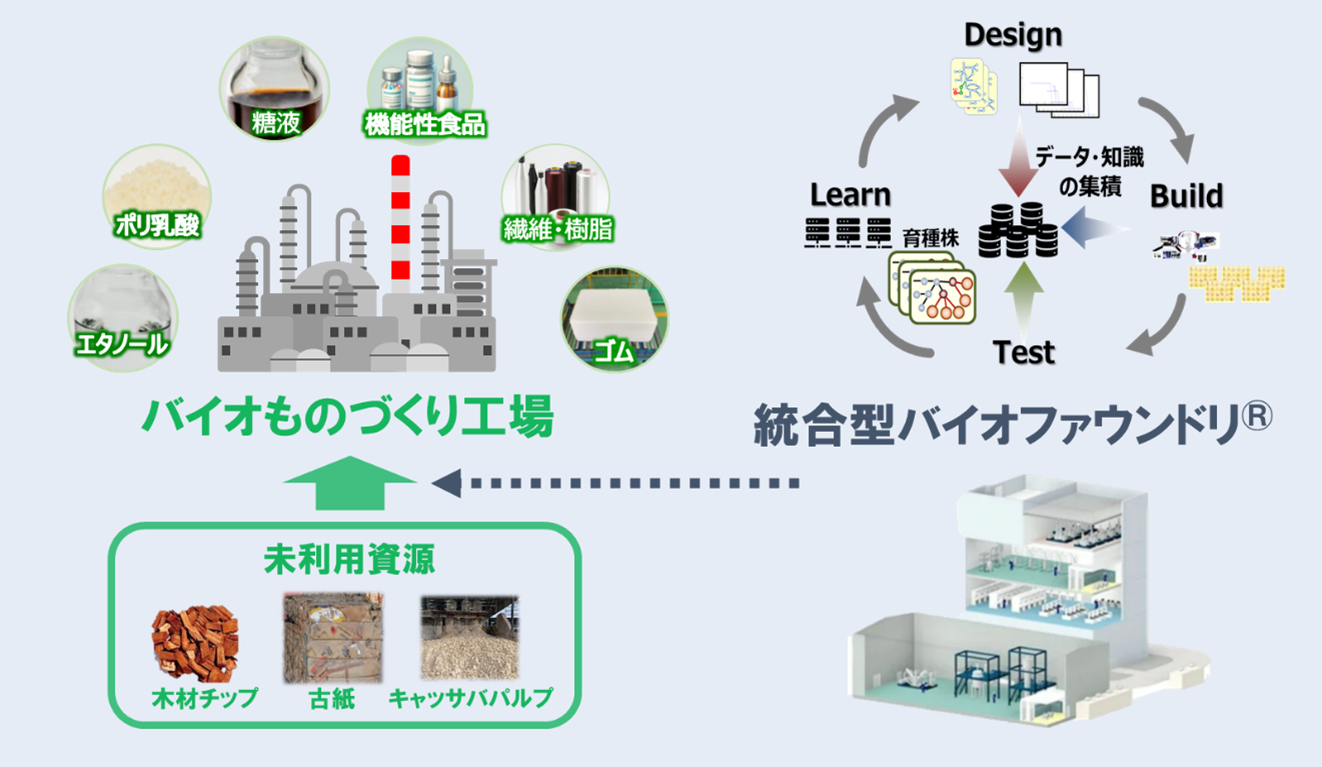 「木質等の未利用資源を活用したバイオものづくりエコシステム構築事業」がNEDOバイオものづくり革命推進事業...