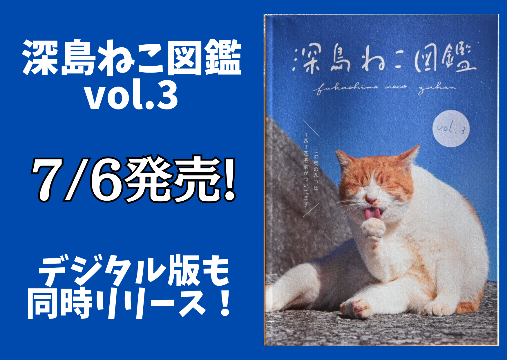 【深島ねこ図鑑＆ねこ図鑑デジタル発売！】島ねこの支援＆深島をもっと！楽しめる書籍とツールの販売がスター...