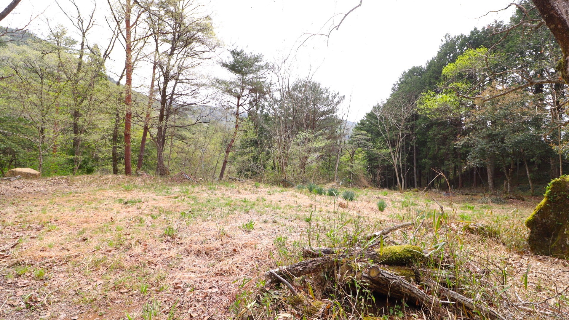 森でストレス解消！自然の中で超アナログな時間を過ごせる森林レンタルエリアが岐阜県恵那市に誕生。