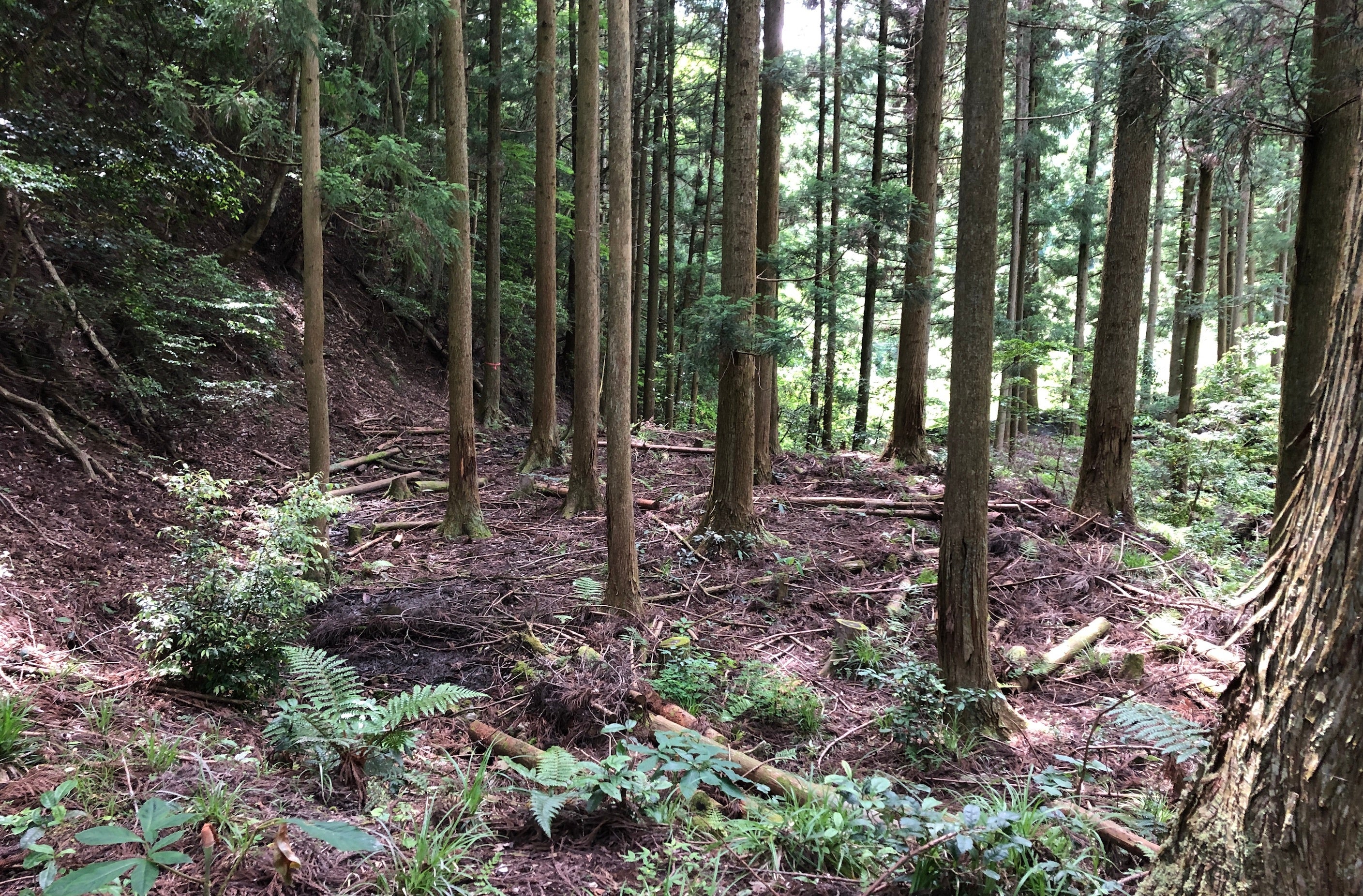 俵山温泉×森林レンタルで湯治場にキャンパーを呼び込む新たな関係人口創出の仕組みが誕生！