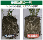 農林水産省が推進する“持続可能な食料システム”の構築を後押し　下水汚泥由来の肥料「健土(けんど)重来(ちょ...