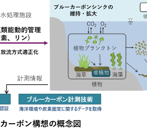 「下水道展'24東京」と「Hitachi Social Innovation Forum 2024 JAPAN」で、「下水道ブルーカーボン構想」の...