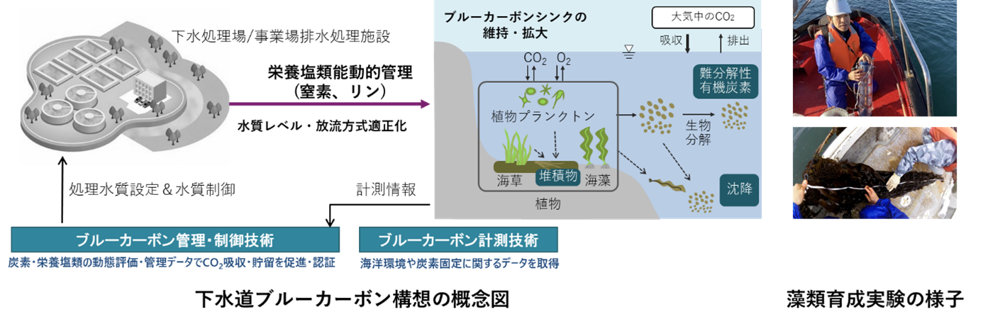 「下水道展'24東京」と「Hitachi Social Innovation Forum 2024 JAPAN」で、「下水道ブルーカーボン構想」の...