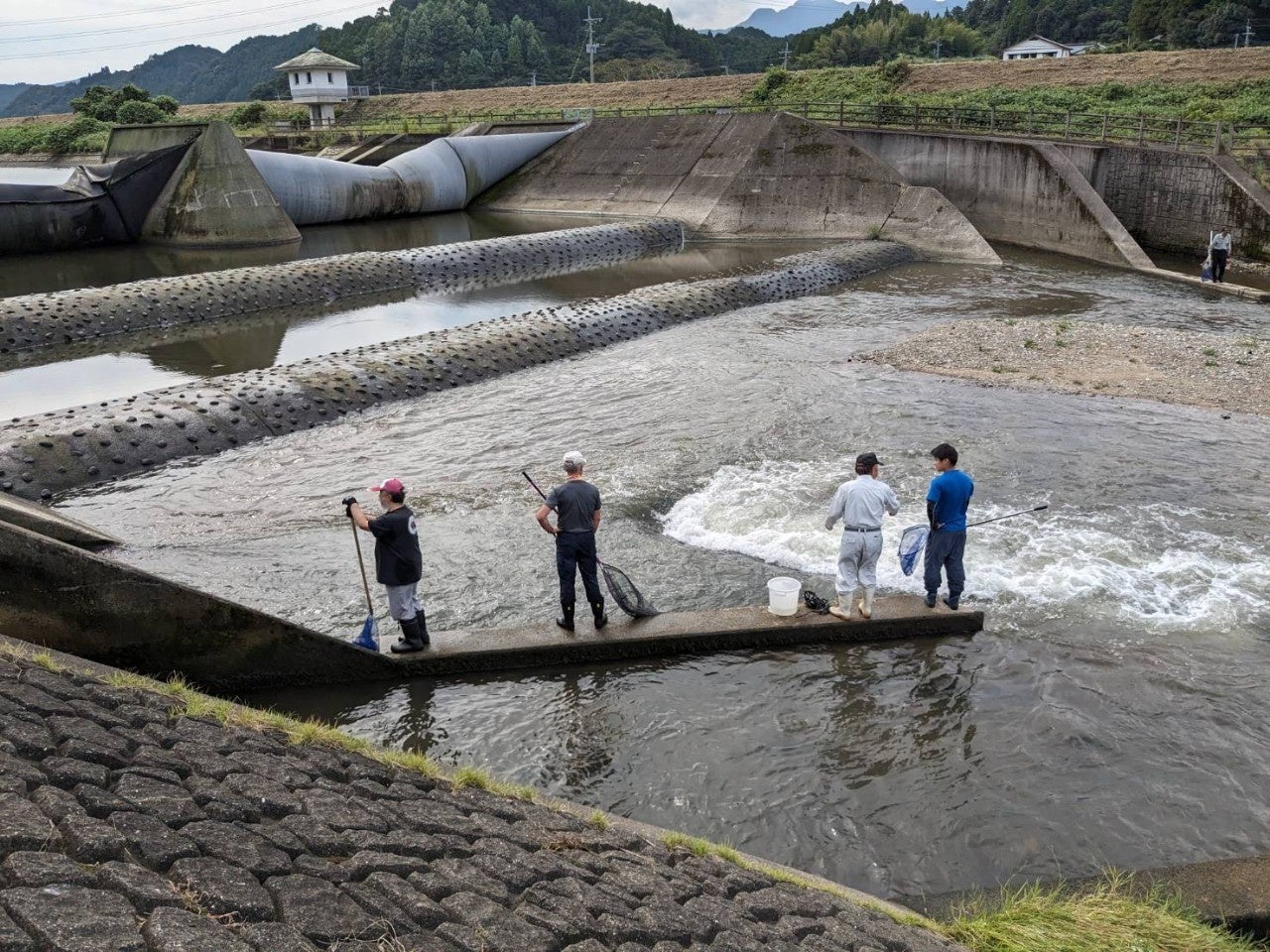 佐賀県初の自然共生サイト(環境省認定)相知町横枕自然共生区域にある横枕農園で栽培されたビーツ、ナス、モヒ...