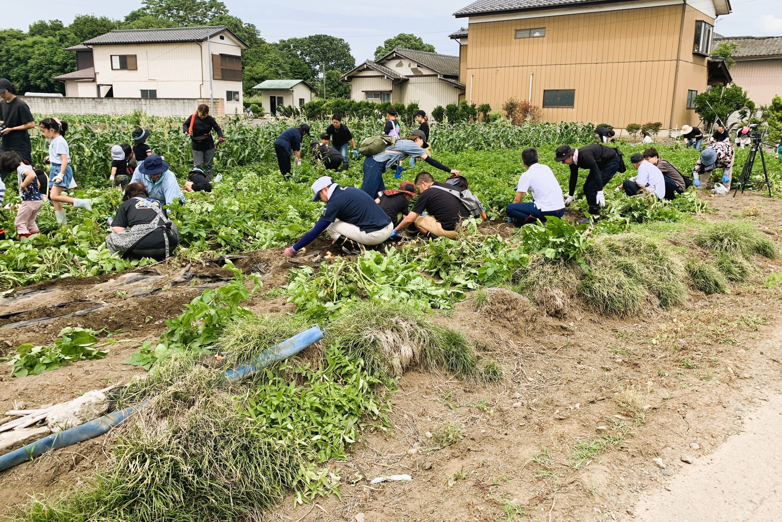 金属加工企業が農業体験イベントを初開催！地元の住民・企業・団体など合計70名が参加