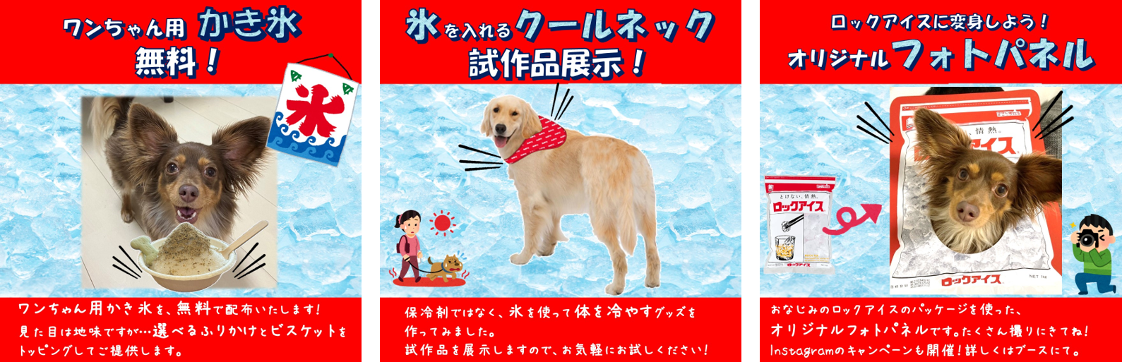 ワンちゃんの暑さ対策！氷の「冷やすチカラ」を、愛犬にも