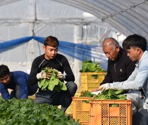 北海道の農業人材不足解決に向け北農５連と業務提携