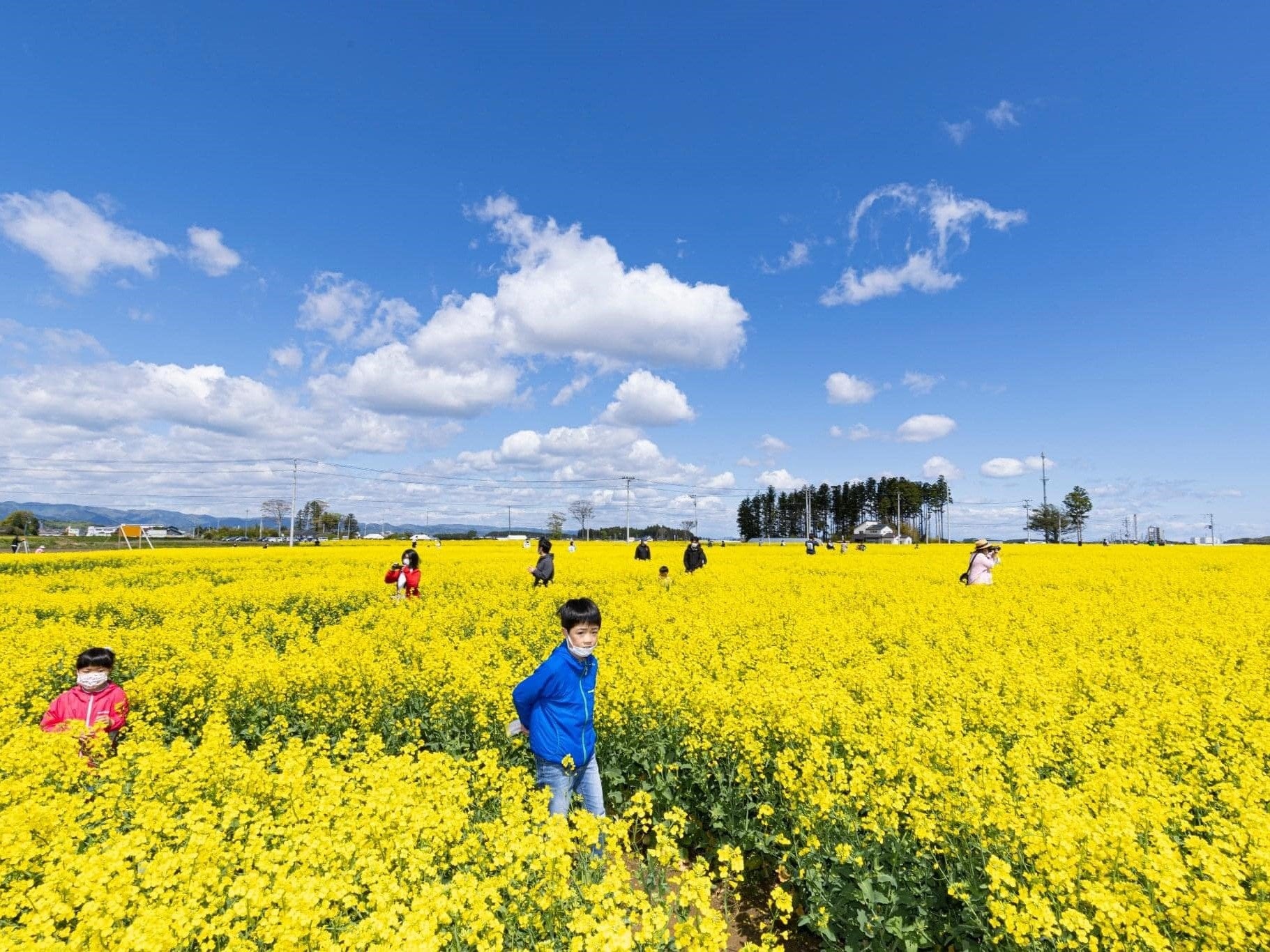 人と自然をつなぐ調査研究、活動行催事を支援する「花博自然環境助成」の公募を開始します！　受付期間：令和...