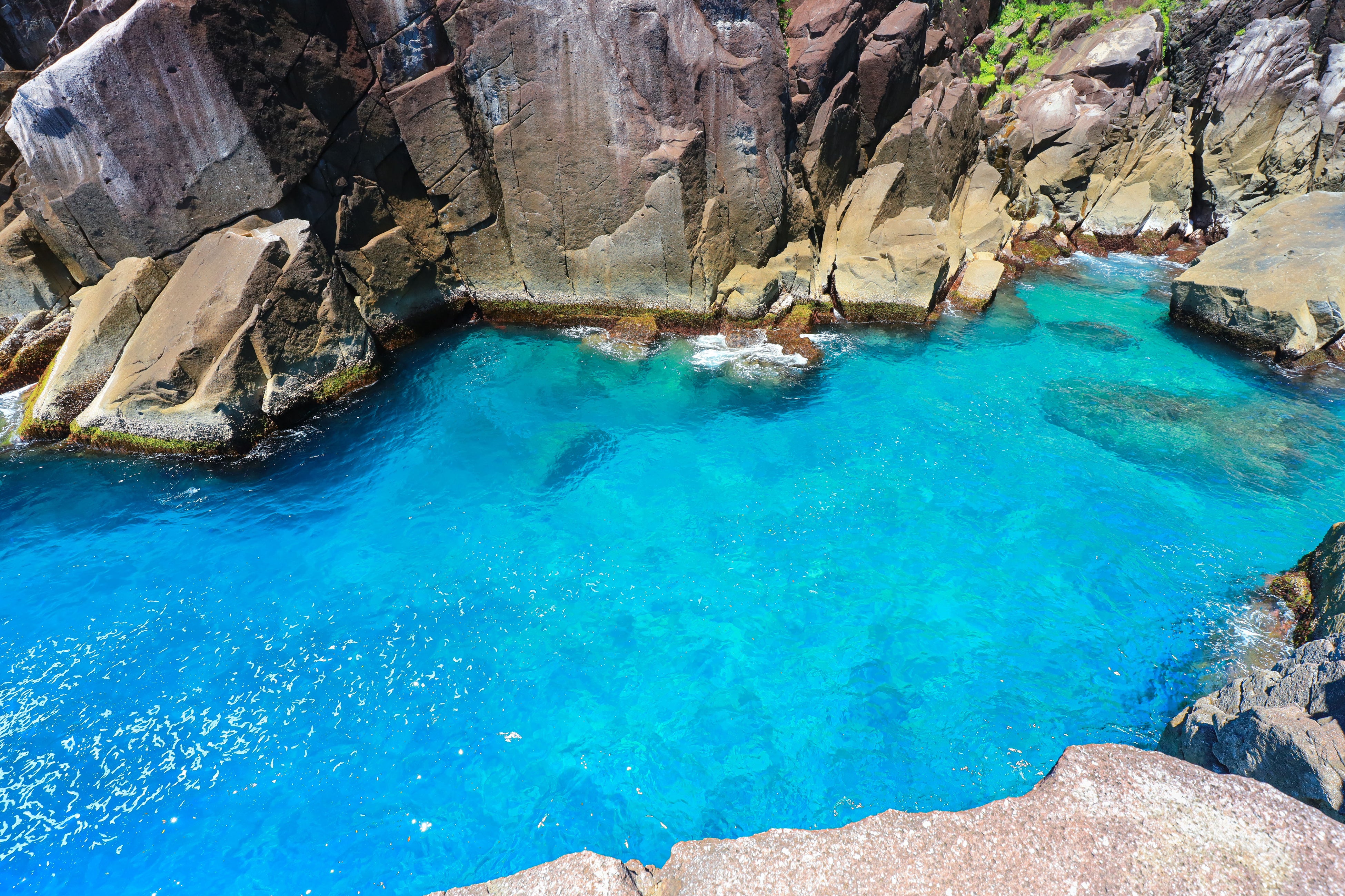 世界でも珍しい道の世界遺産 熊野古道 世界遺産登録20周年この夏に行きたい 二大聖地を結ぶ祈りの道「熊野古...