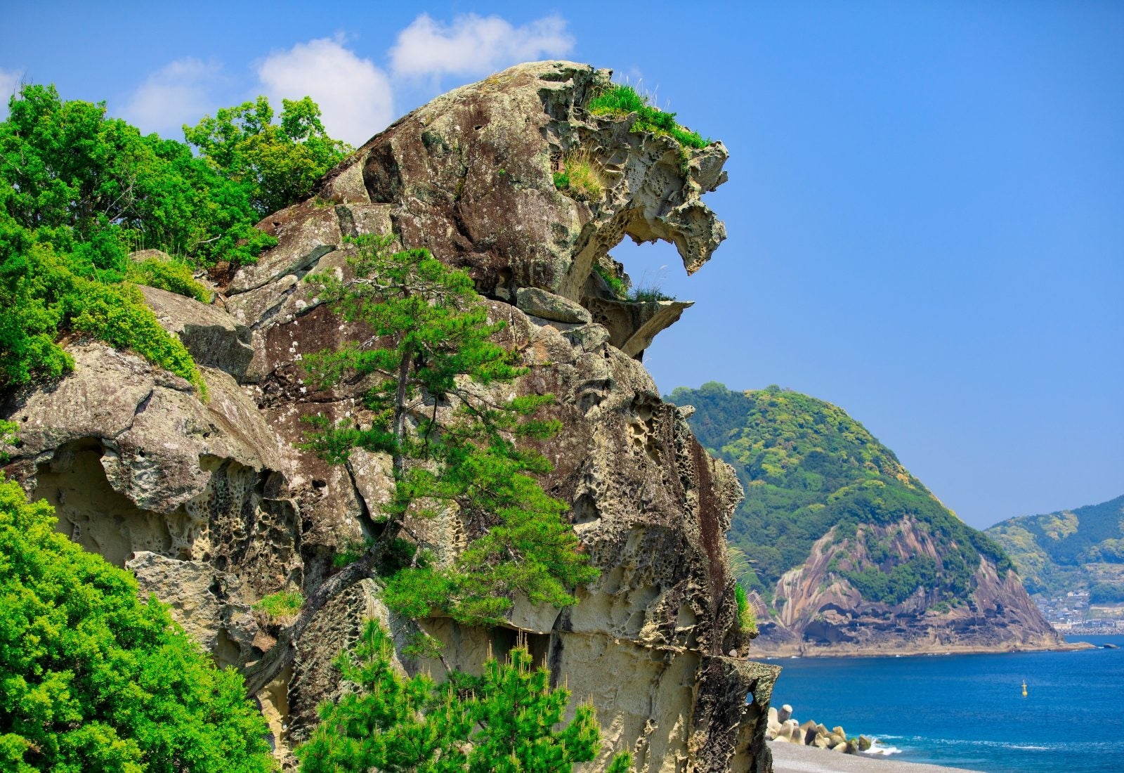 世界でも珍しい道の世界遺産 熊野古道 世界遺産登録20周年この夏に行きたい 二大聖地を結ぶ祈りの道「熊野古...