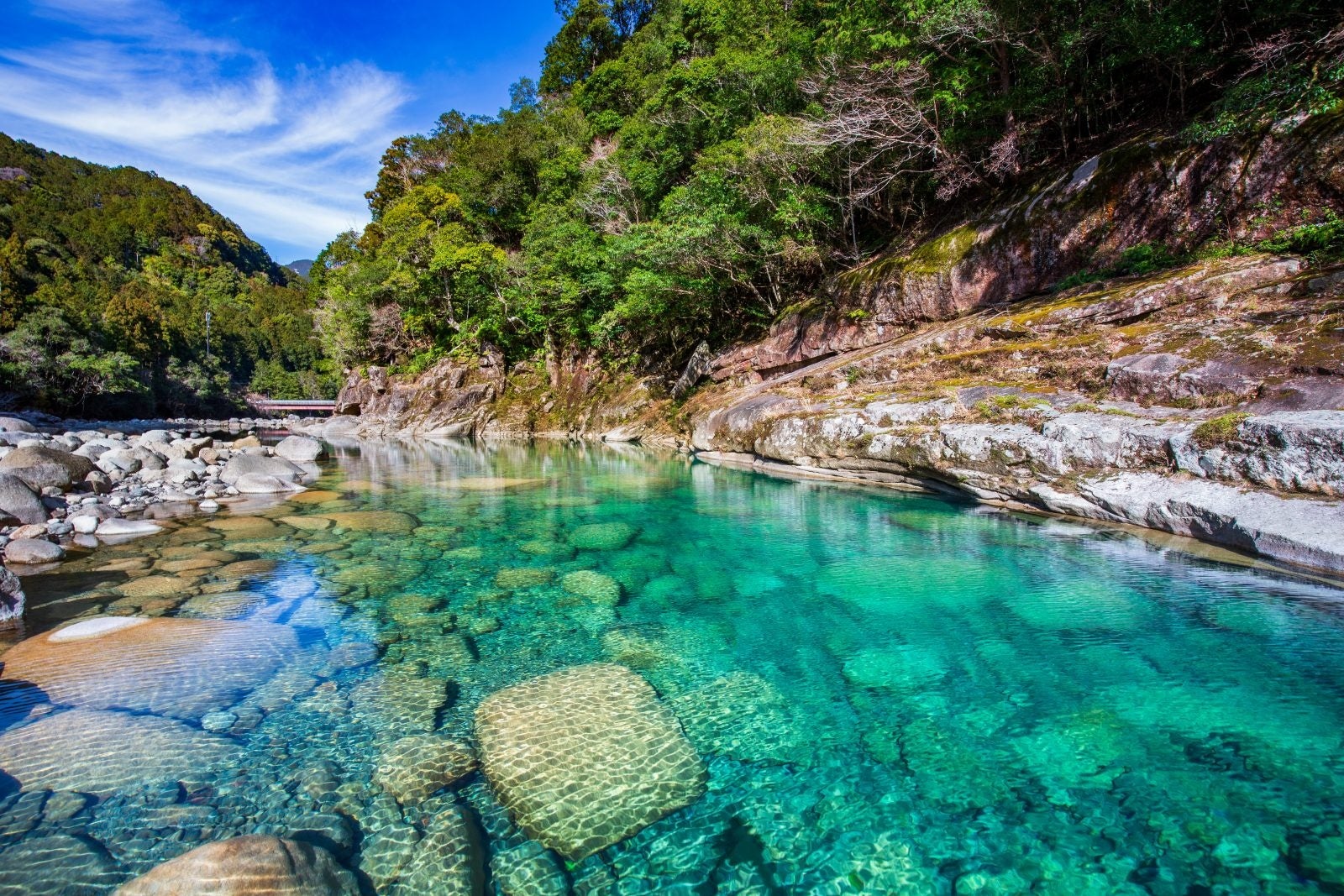 世界でも珍しい道の世界遺産 熊野古道 世界遺産登録20周年この夏に行きたい 二大聖地を結ぶ祈りの道「熊野古...