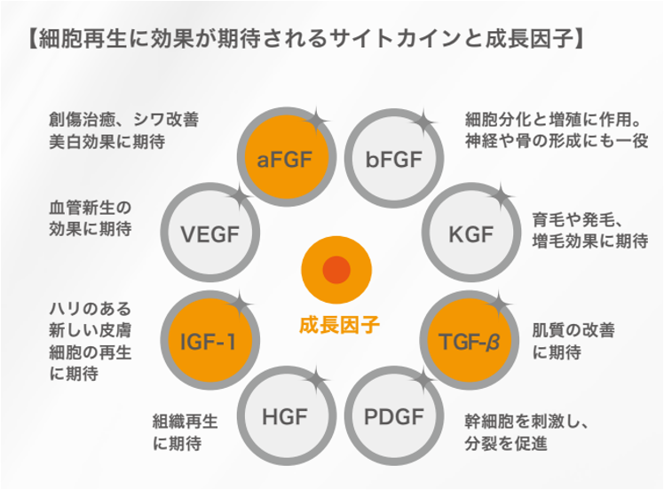 高純度のエクソソームを含有！「Dr.歯髄幹細胞上清液」の提供開始