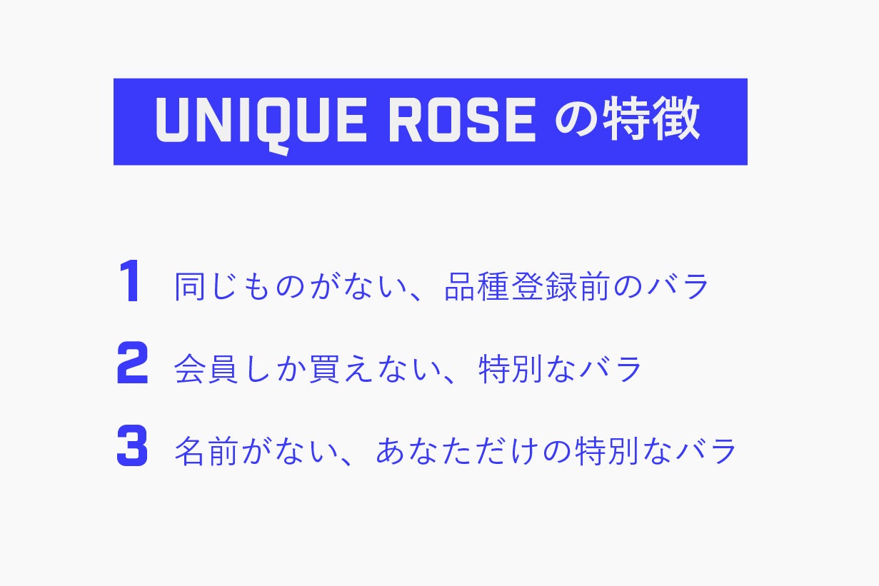 【世界にひとつだけの体験】試験栽培の過程で生まれた希少なバラ「UNIQUE ROSE」会員権の先行販売をクラウド...