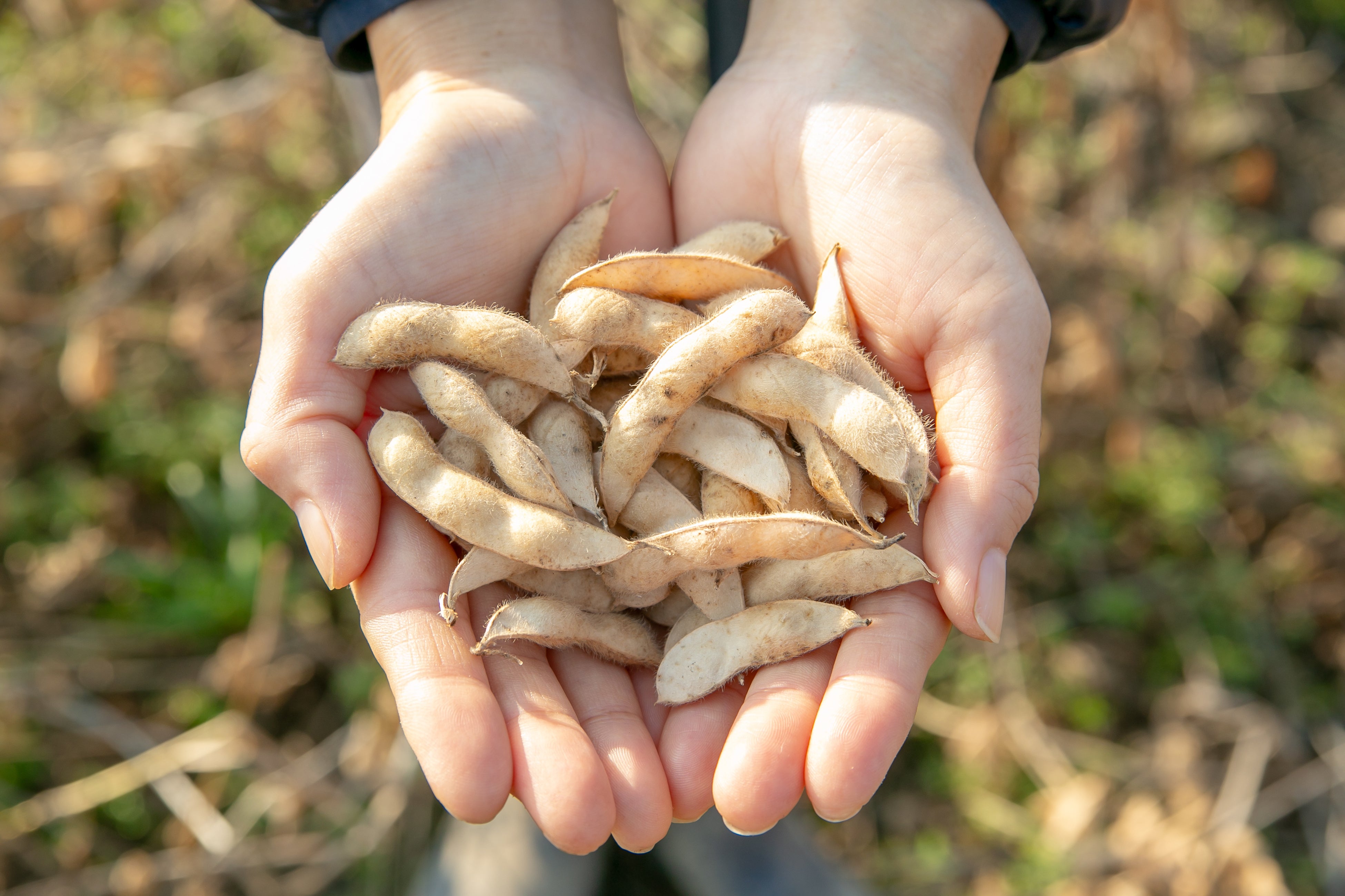 伝統の豆腐移動販売を現代の形に。暮らしに寄り添う、住宅地での新たな自動販売機店舗プロジェクト。『Soi』...